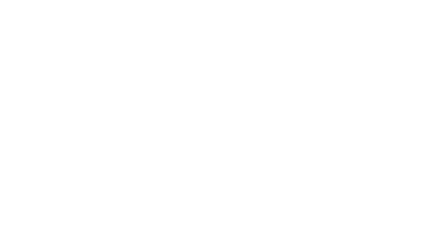 TCG Steyr Logo